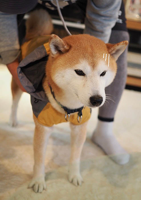 26日ブログ２