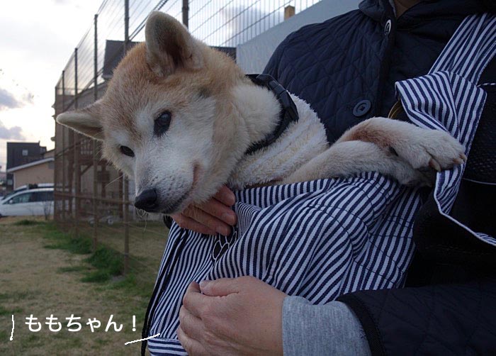 1日午後ブログ３