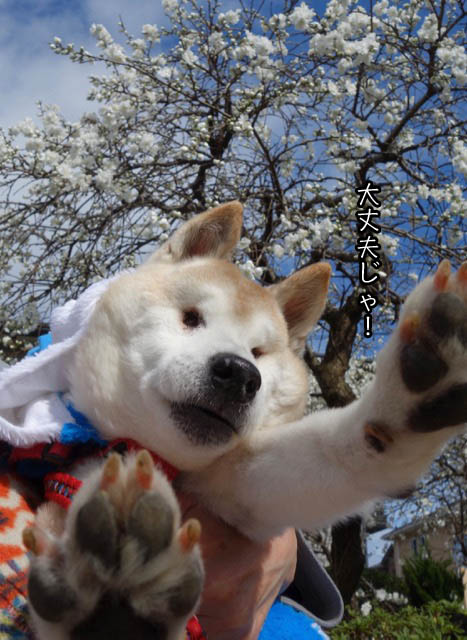 7日ブログ4