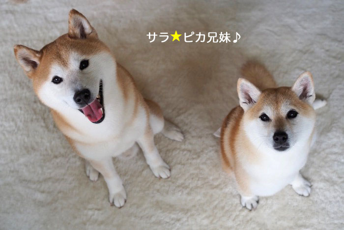 2日ブログ１１
