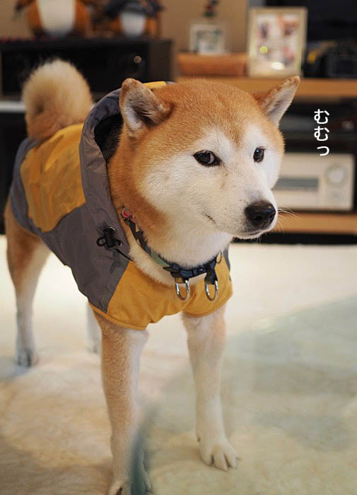 26日ブログ３