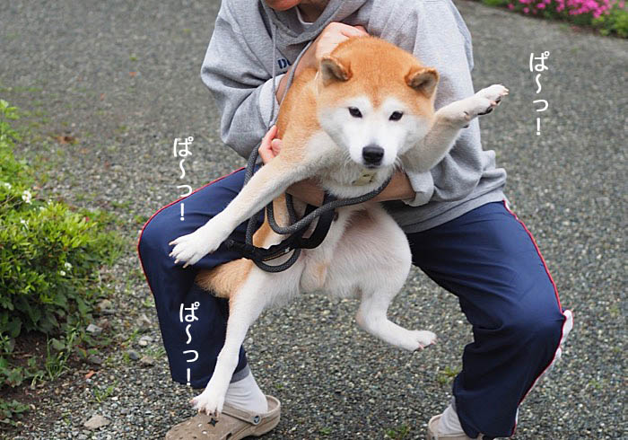 2日ブログ７