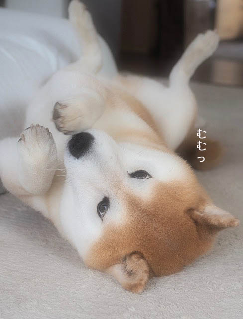 7日ブログ6