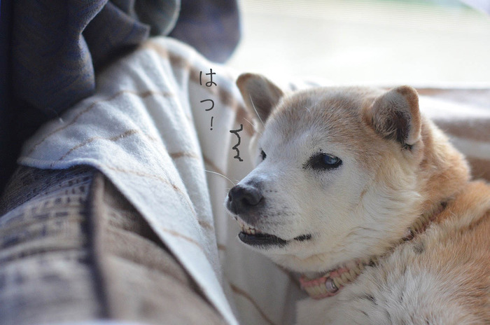 10日ブログ6