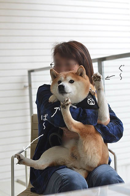 8日ブログ11
