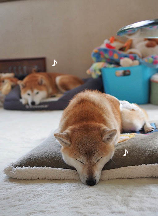 27日夜ブログ３