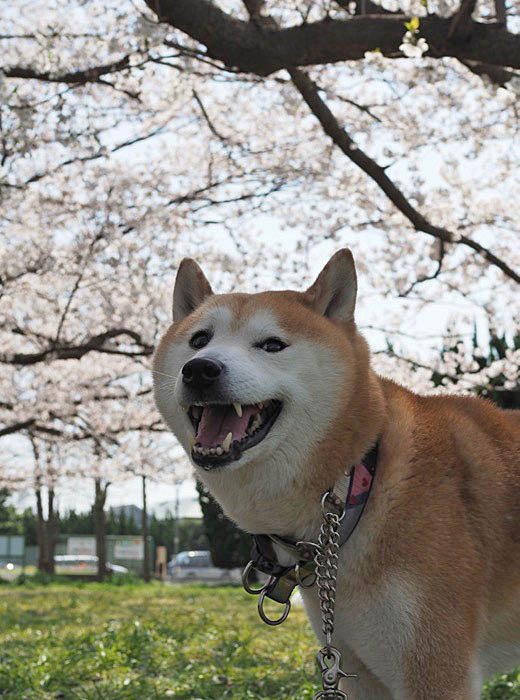 10日ブログ６