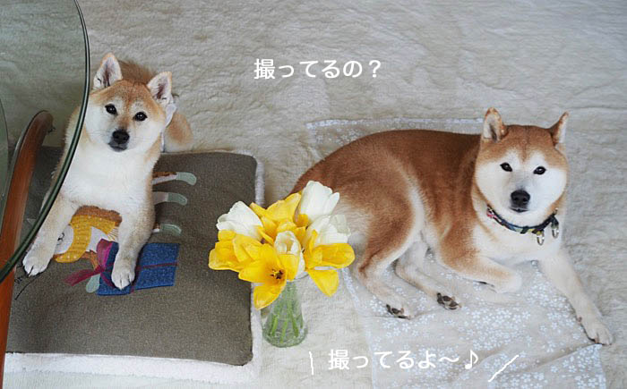 9日ブログ３