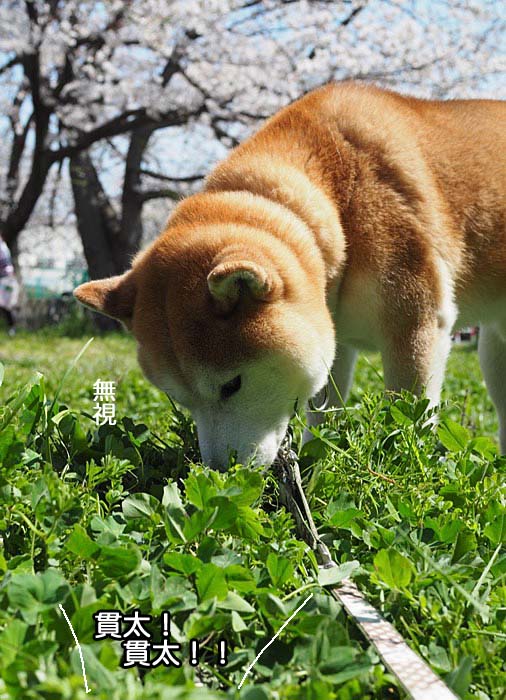 6日夜ブログ２
