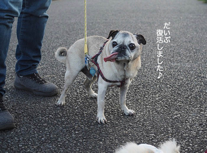 4日ブログ４