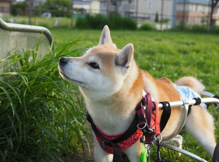7日夜ブログ１