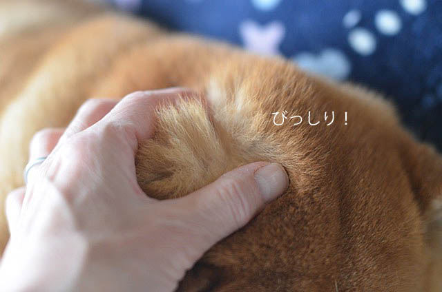 10日ブログ6
