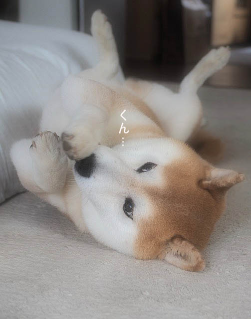7日ブログ5