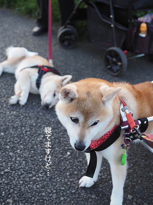 4日ブログ２