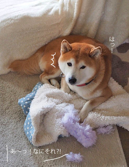 13日ブログ1