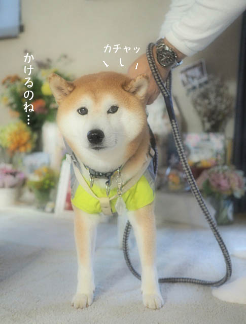 6日ブログ6