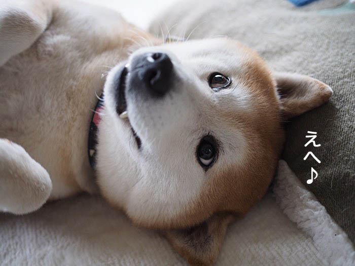 2日午後ブログ４