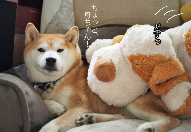 4日ブログ8