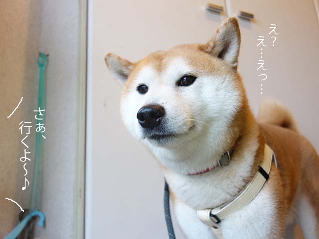 30日ブログ2