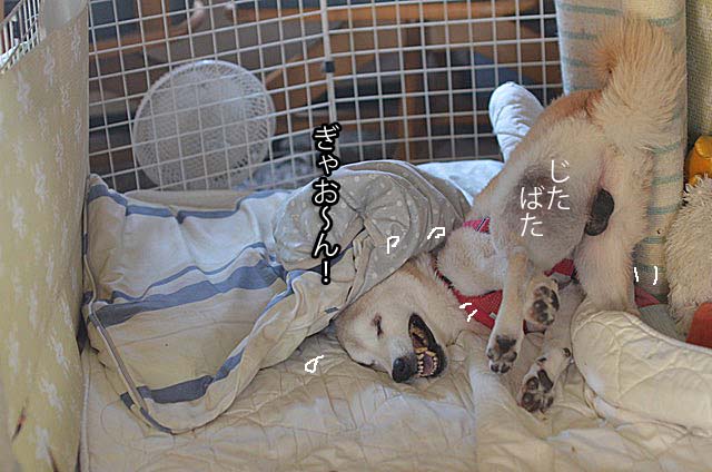 1日ブログ4