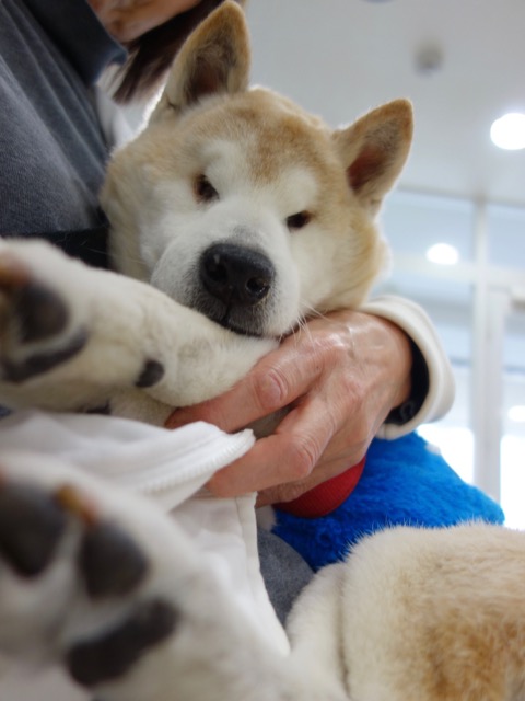 6日ブログ11