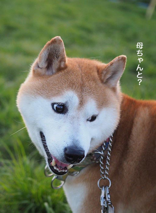 7日ブログ３