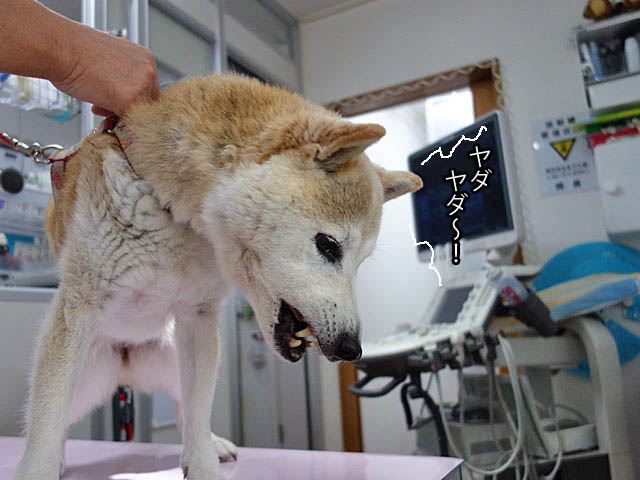 9日ブログ2