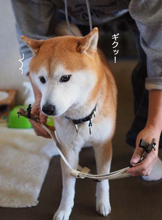 11日ブログ３