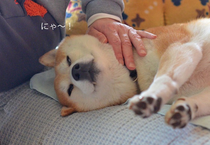 12日ブログ7