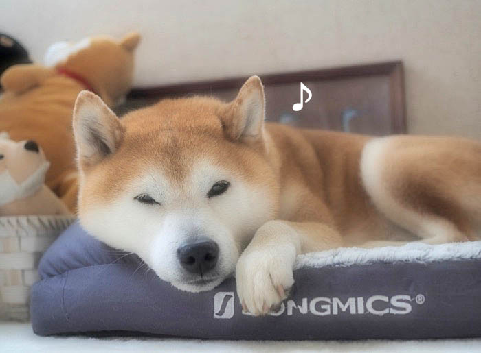 20日ブログ６