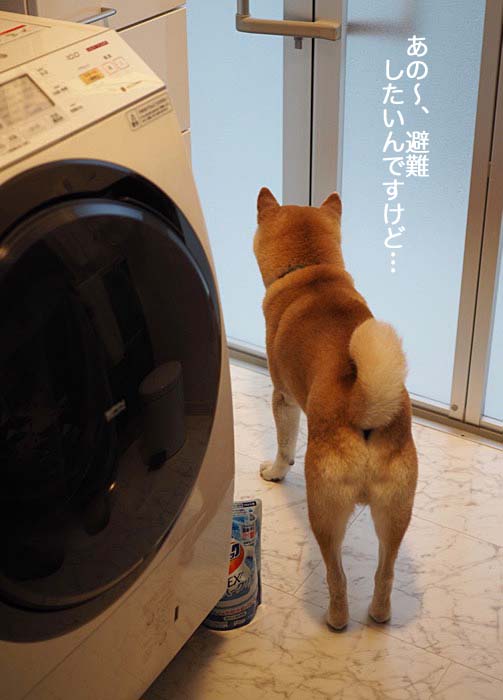 14日ブログ４