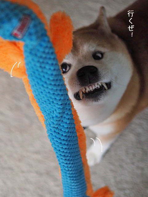 2日ブログ7