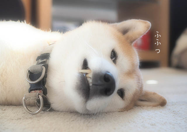 10日のブログ3
