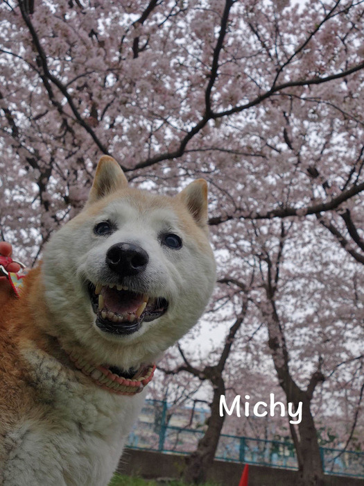 14日ブログ4