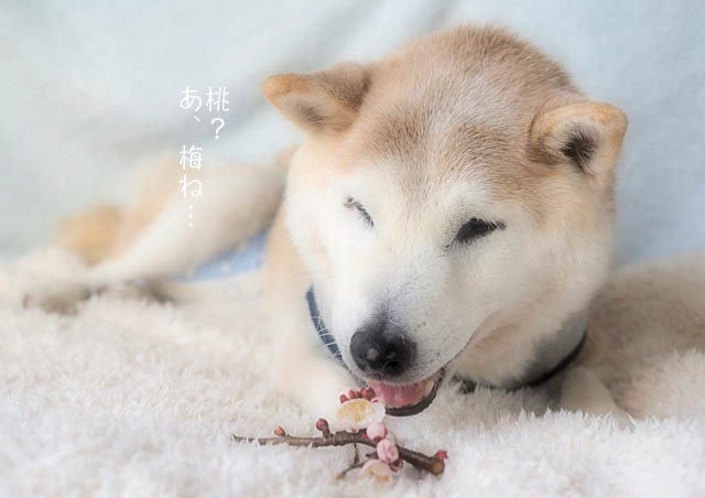 3日ブログ4