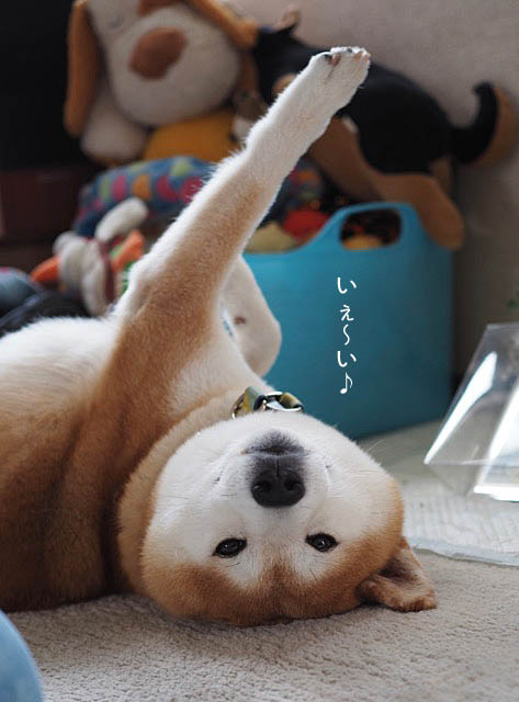 10日ブログ9