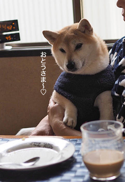 5日夜ブログ2