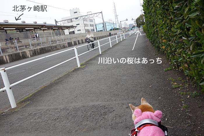 30日午後ブログ２