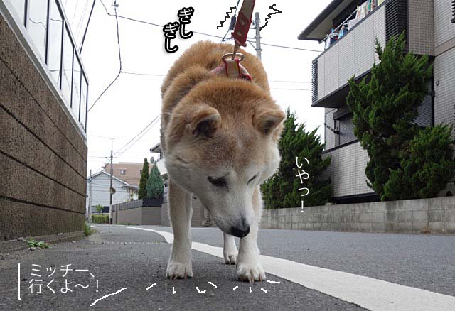 27日ブログ3