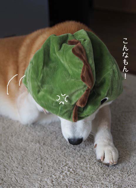 11日ブログ5