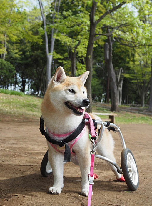 4日朝ブログ２