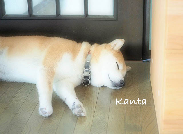 8日ブログ8