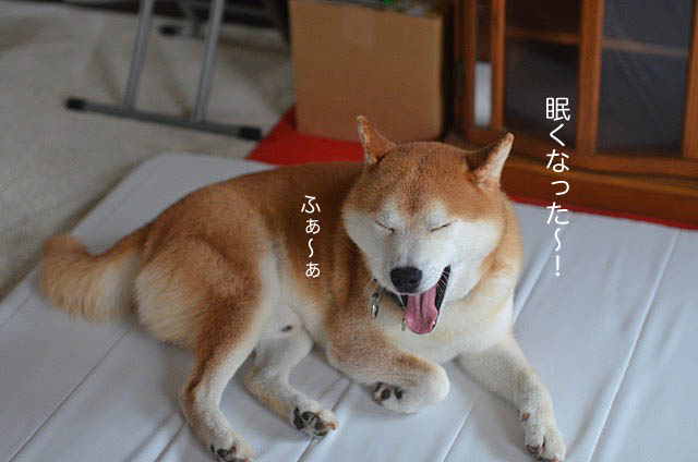 8日ブログ5
