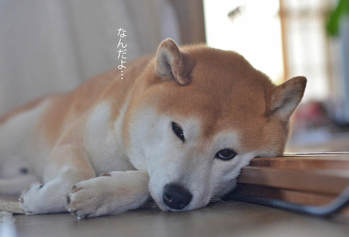 28日ブログ2