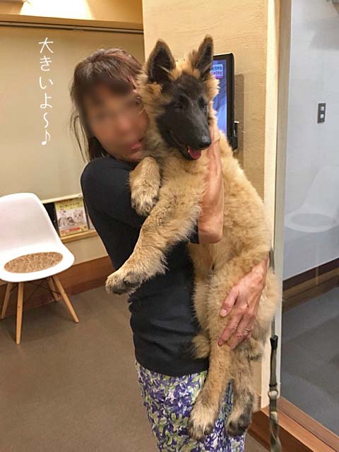1日ブログ10