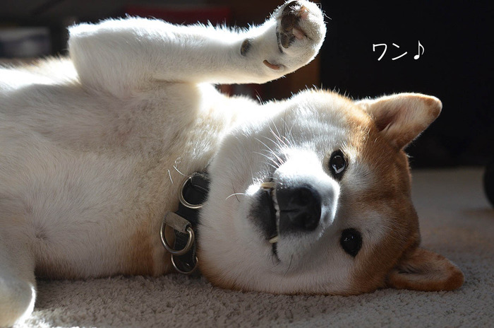 10日ブログ5