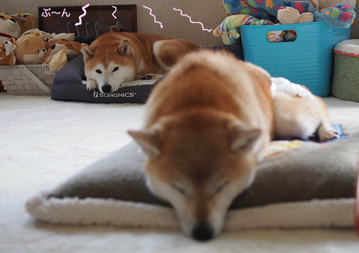 27日夜ブログ２