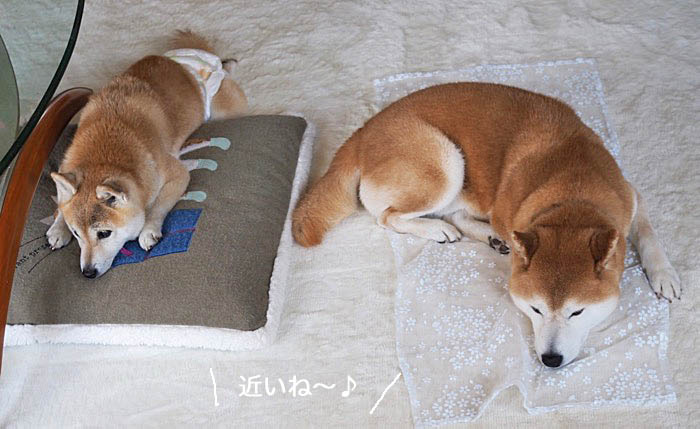 9日ブログ１