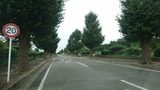 霊園