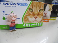 しばた便⑥0